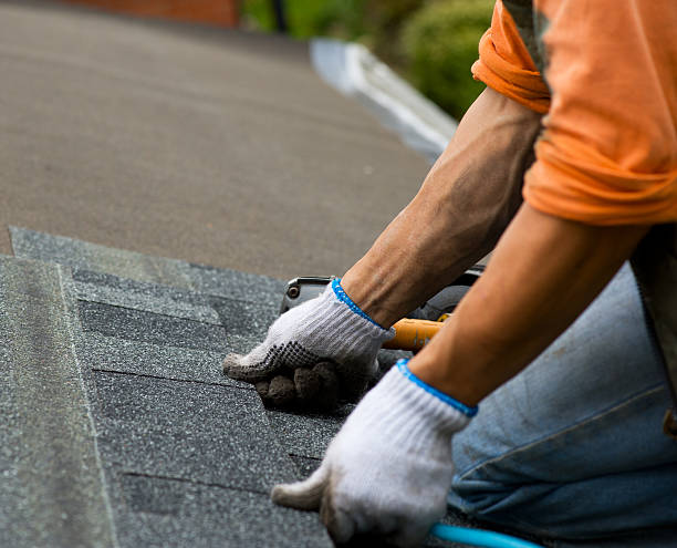 Roof Gutter Cleaning in Harrisville, WV