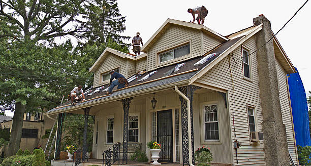 Best Local Roofing Companies  in Harrisville, WV