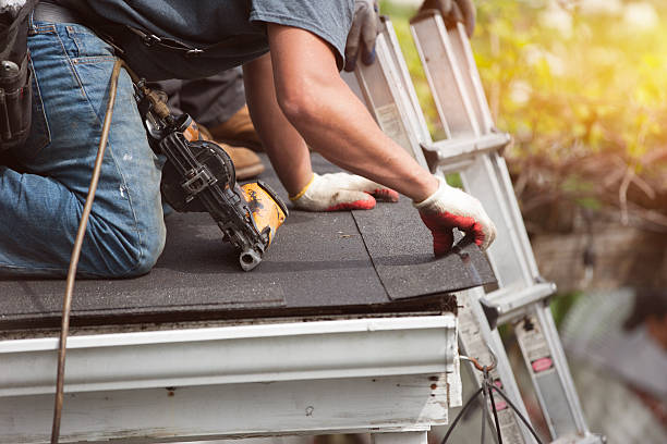 Best Roof Maintenance Services  in Harrisville, WV