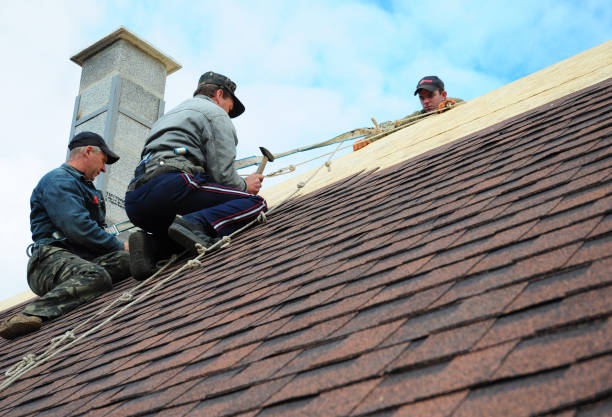 Best Affordable Roofing Company  in Harrisville, WV