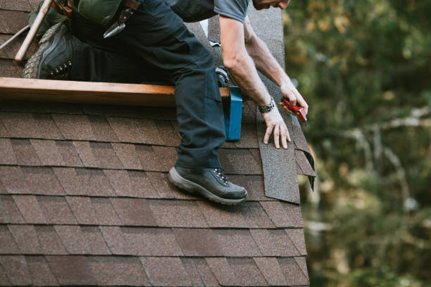 Best Roof Repair Services  in Harrisville, WV